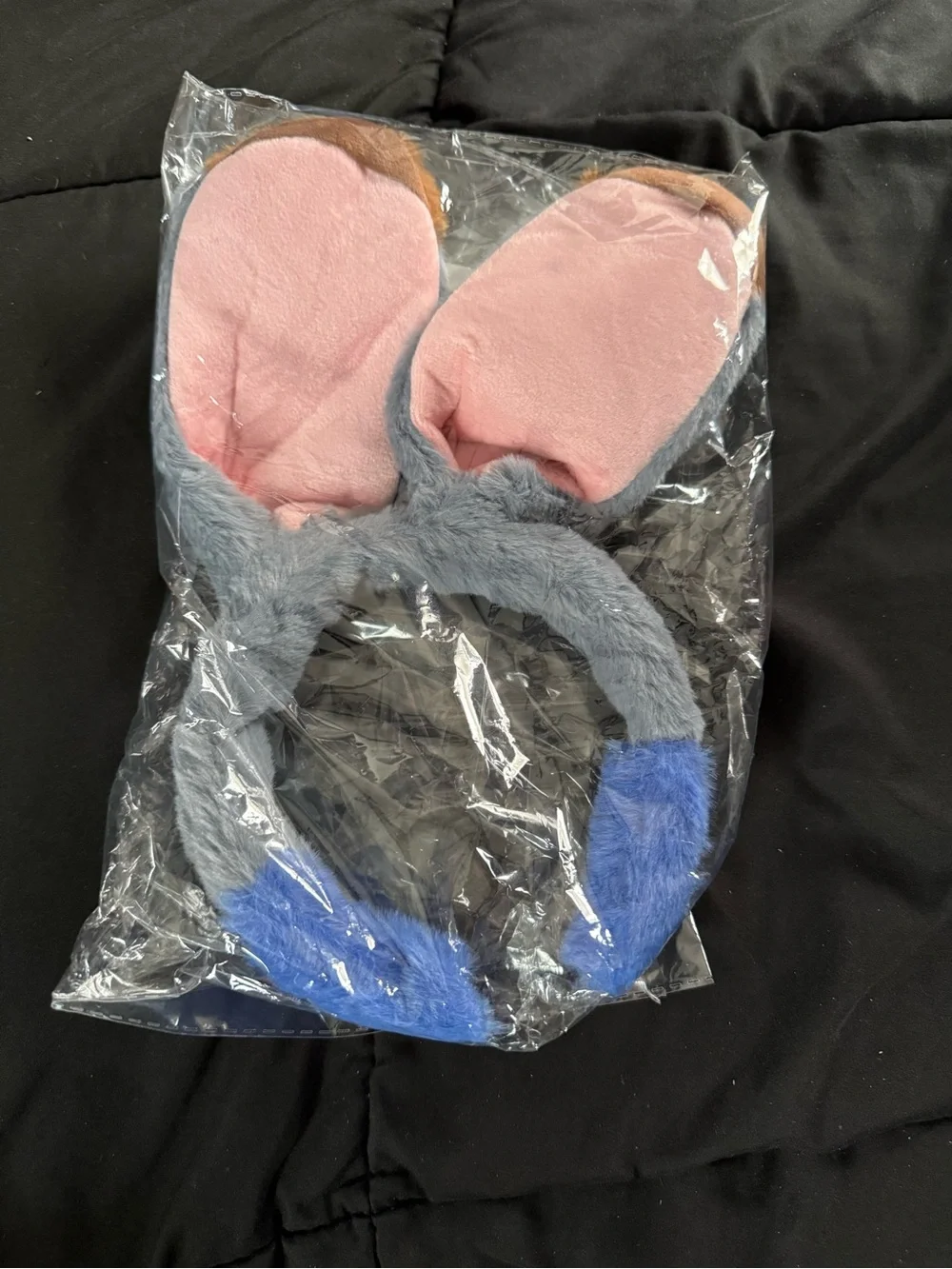 Judy Ears